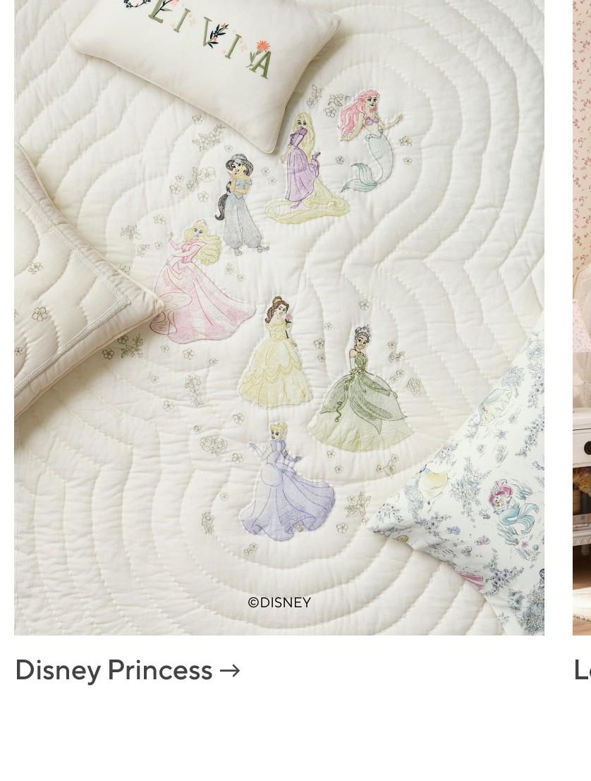 Disney Princess